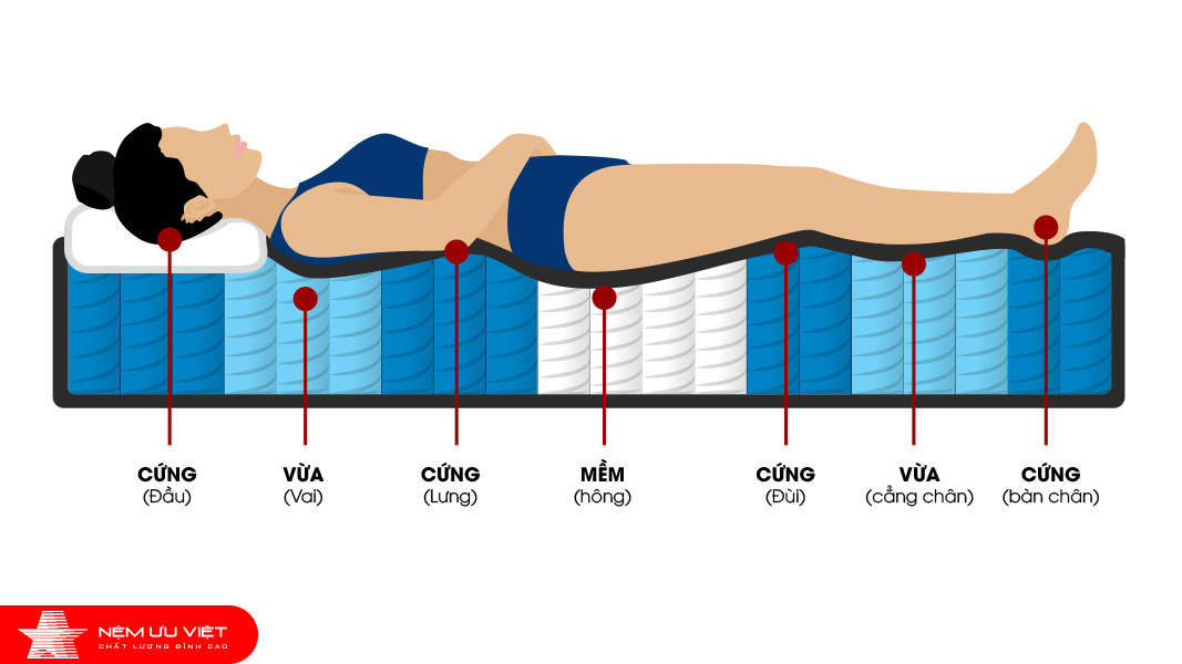 Nệm lò xo túi 7 vùng độc lập ưu việt hoàn hảo