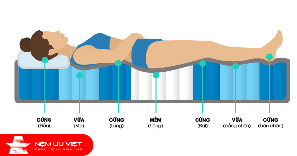 Chọn mua nệm lò xo túi 7 vùng