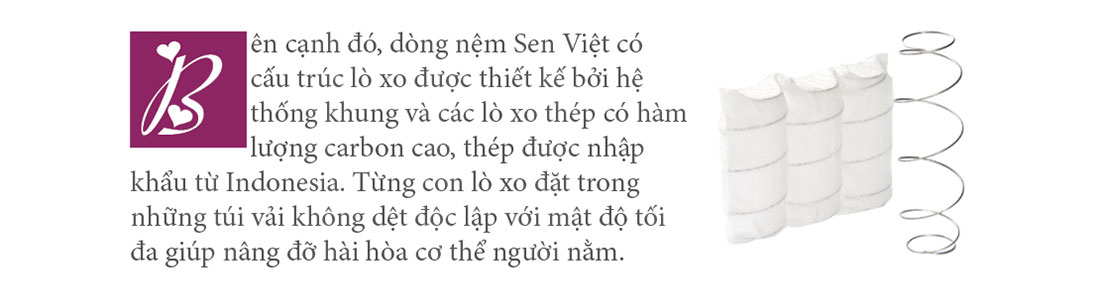 Nệm Ưu Việt, Nệm Sen Việt nội thất phòng ngủ ấn tượng khó phai