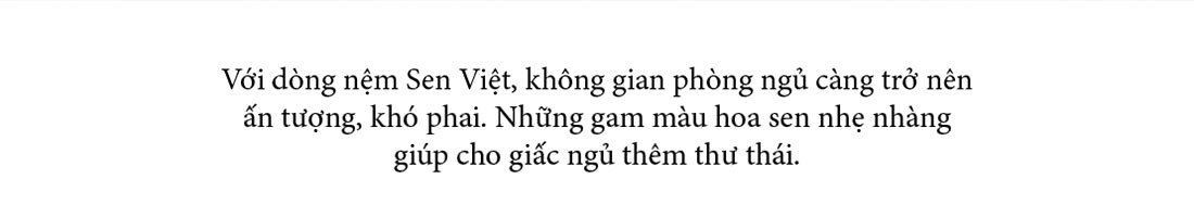 Nệm Ưu Việt, Nệm Sen Việt, nệm lò xo nội thất dành cho phòng ngủ