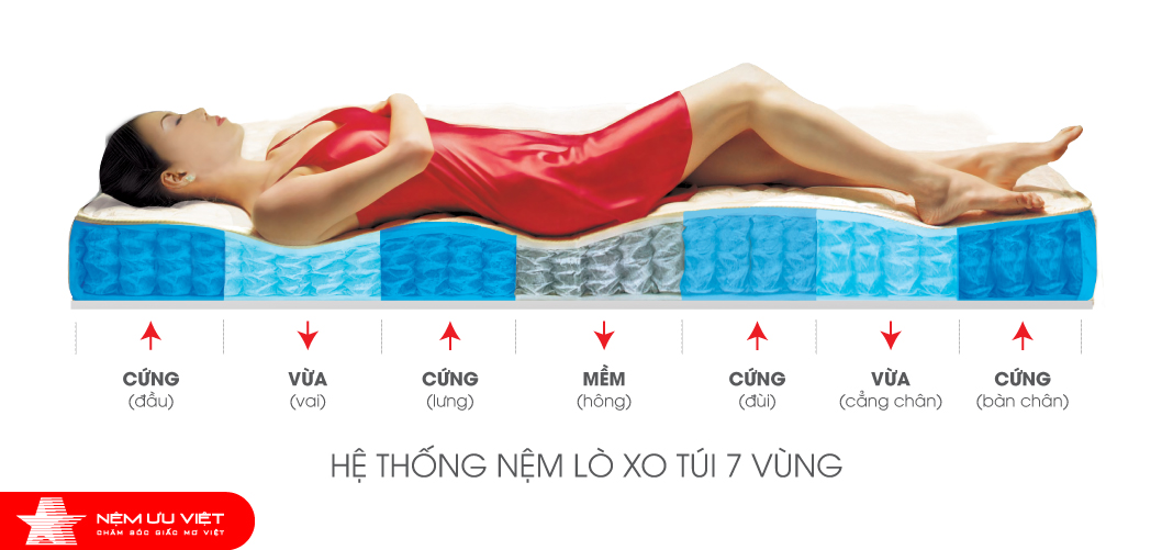 Nệm Ưu Việt - Nệm lò xo túi Isabelle 7 vùng - Pillow Top Lông Cừu